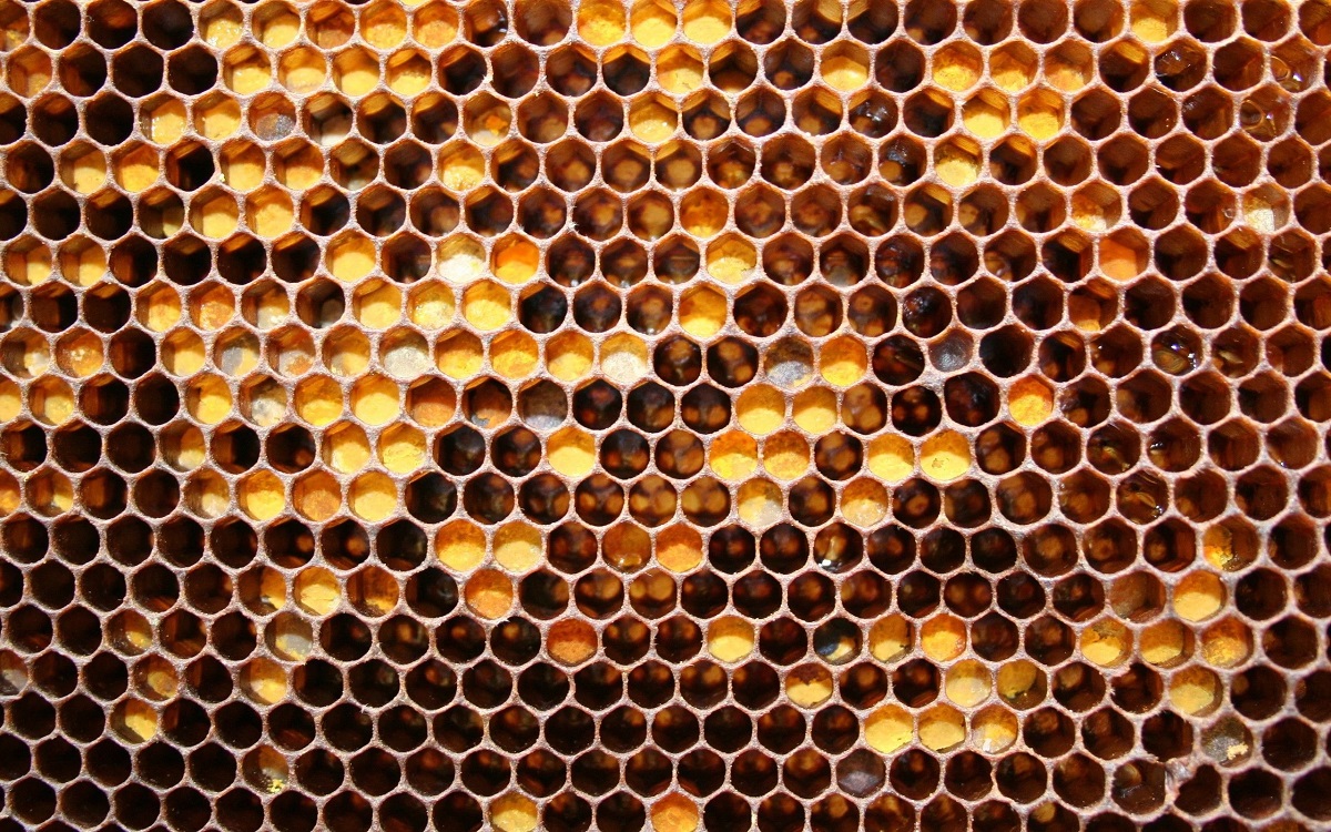چرا کندوی زنبورعسل شش ضلعی است؟